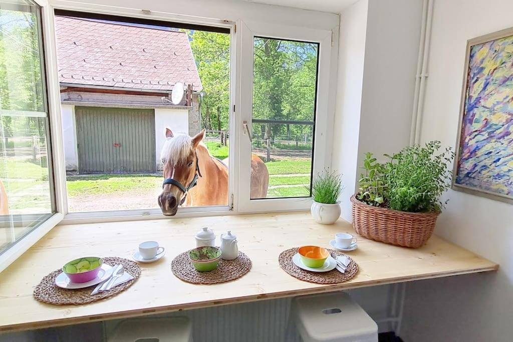 Cosy Family Apartment Reichenau Extérieur photo